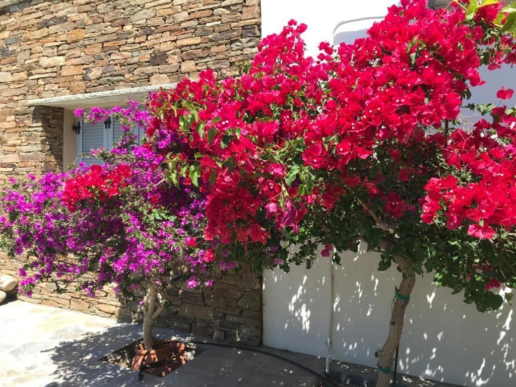 Oikia Petra Villa Agios Ioannis  Exterior photo